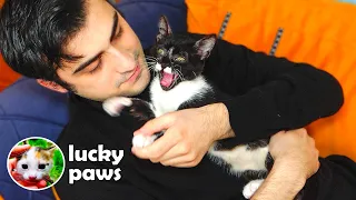 Poor Kitten Yetim Won't Stop Hugging the Rescuer And Goes to the Vet | Lucky Paws