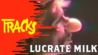 Lucrate Milk - Tracks ARTE (2006)