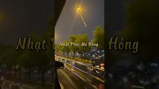 Đừng Trách Diêu Bông