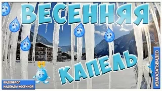 Весна ВЕСЕННЯЯ КАПЕЛЬ HD Футаж Фон для видеомонтажа