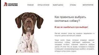 Не покупай охотничью собаку пока не посмотришь этот вебинар!