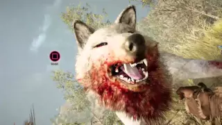 FarCry Primal Snow Blood Wolf