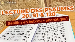 Lecture des psaumes 20, 91 & 120 (téhilim en hébreu + phonétique)