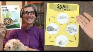 The Snail | Life Cycle | Science | Preschool | Read Aloud | Story