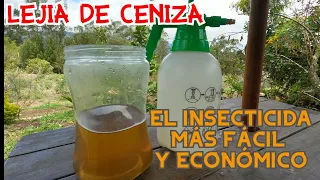 LEJIA DE CENIZA / INSECTICIDA FÁCIL & ECONÓMICO / HIDRÓXIDO DE POTASIO / ECOLÓGICO 🌱🌱🌼🌱