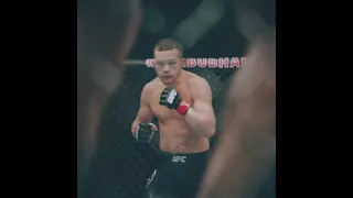 Пётр Ян против Стерлинга UFC 259