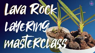 How to LAYER Lava Rock as SUBSTITUTE for Bark & Grow Orchids in a WET / DRY Cycle #ninjaorchids