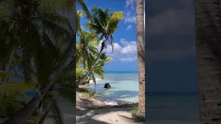 Рай на земле - это остров Саона 🌴