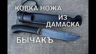 Damascus KNIFE BICHAK