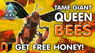 EASY QUEEN BEE TAME & GET HONEY ARK Survival Ascended