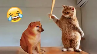 Funniest Animals 2023 😂 Best Funny Cats and Dogs 😺🐶 Part 31