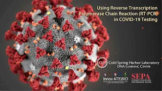 Using Reverse Transcription Polymerase Chain Reaction (RT-PCR) in COVID-19 Testing