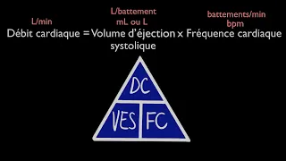 Le Débit Cardiaque, le Volume d'Éjection Systolique et la Fréquence Cardiaque