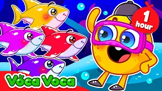 Where is My Mommy Song 😭🦈 Baby Shark Doo Doo Doo + More Kids Songs & Nursery Rhymes by VocaVoca 🥑