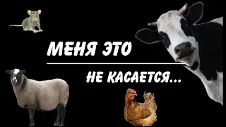 Меня это не касается...