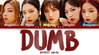 BVNDIT (밴디트) – Dumb Lyrics (Color Coded Han/Rom/Eng)