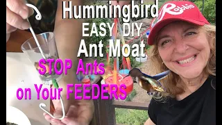 No More Ants on Hummingbird Feeder EASY DIY  How To Make a Ant Moat Guard Your Bird Feeder from Pest