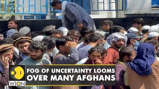 What's next for Afghans fleeing the Taliban? |Taliban |Afghanistan |WION News |Latest English News