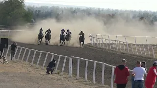 08.10.2023 - ипп. "Свободный Труд" - Приз в честь СПК к/х "Чернолесский" - Летопись