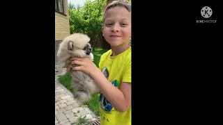 OMG Animals SOO Cute! AWW Cute baby animals Videos Compilation CUTEST Moments of the animals #2