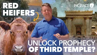 Israel’s Red Heifer Sparks a Wave of Terror? | Jim Scudder | InGrace