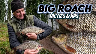 BIG Roach Fishing - Tactics & Tips #korum #Roach #Roachfishing #winter #bigroach