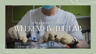 Day in the Life of a Biomedical Science Student | University of Malaya UM