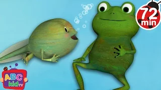 Frog Song + More Nursery Rhymes & Kids Songs - CoComelon