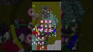 Tibia Hunt l EK 300 Profit 700K Hr l Carnivora's Rocks PH #shorts #tibia #shortstibia #profit