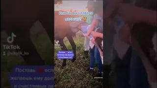 Рождение жеребёнка 😍🐴