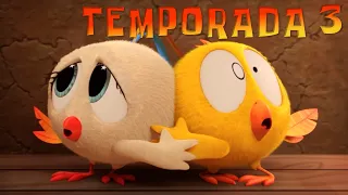 Onde está Chicky? TEMPORADA 3 🐍 CHICKY A AVENTUREIRO 🤠 Desenhos Animados Infantil