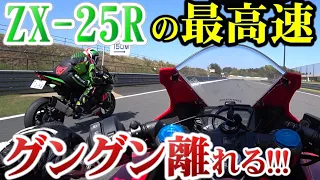 【四気筒ツエー】ニダボで追っても厳しい感じだった・・・【CBR250RR vs ZX-25R】