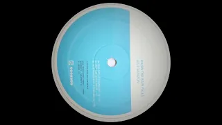 Blue Amazon - And Then The Rain Falls (Original Mix) Classic House 1997 - HQ Sound