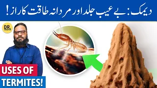 Deemak Ke Dawa Me Istemal/Fayde | Termites Uses in Medicine & Benefits | Dr. Ibrahim