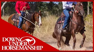 Clinton Anderson: Correcting Horses That Bite and Kick Other Horses - Downunder Horsemanship