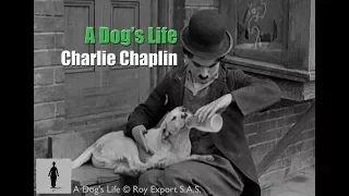 Charlie Chaplin - A Dog's Life - The Tramp Cares for Scraps, A Stray Dog