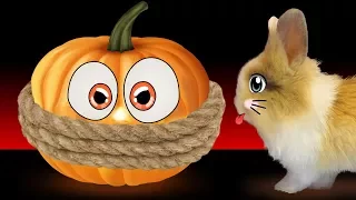 КРОЛИК БАФФИ И ЧЕЛЛЕНДЖ ХЕЛЛОУИН / ТЫКВА vs РЕЗИНКИ / КОТЕНОК МУРКА и challenge halloween