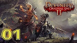 Divinity Original Sin 2 КООП Прохождение #01 СВЕЖИЙ БРИЗ