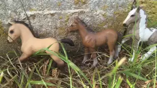 Schleich Horse Movie Trailer 68 States