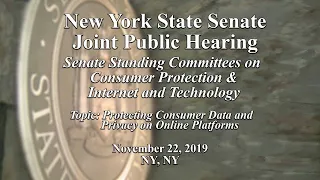 Senate Committees on Consumer Protection & Internet and Technology Public Hearing - 11/22/19