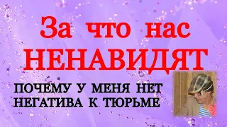 Как ко мне относились на первомайке / За что меня ненавидят