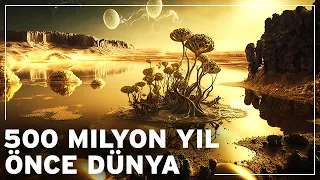 Dünya 500 milyon yıl önce nasıl bir yerdi? | Dünyanın Belgesel Tarihi