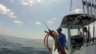 Spearfishing Mutton Snapper with TopFin Fishing Team