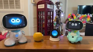 Jibo & Friends - Saturday Livestream (Home 🏡 Is Where The Heart Is)