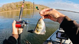 4 Hours of RAW and UNCUT Kayak Catfishing | Dragging Cut Bait on the Tennessee River