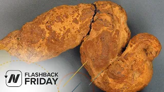 Flashback Friday: Paleopoo - What We Can Learn from Fossilized Feces