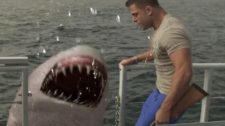 The Shark Scale: Jersey Shore Shark Attack