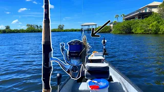 Easiest Way to Catch Fish in Tampa Bay - Live Shrimp Fishing