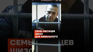 Семь месяцев ШИЗО для Навального