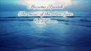 The Music of The Bee Gees, Instrumental Piano Love Songs, Romantic and relaxing Ballads